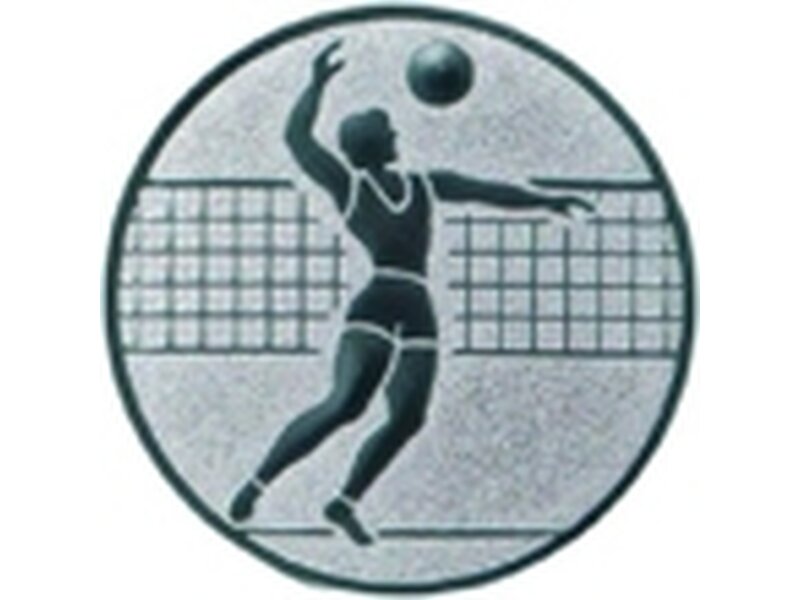 Emblem Volleyball Herren