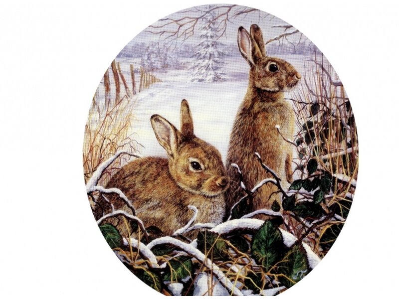 Schtzenscheibe 45 cm Motiv 077, Zwei Hasen im Winter