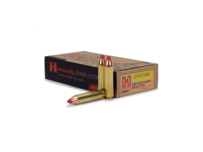 Hornady .450 Bushmaster Rifle 250gr. FTX - 20St